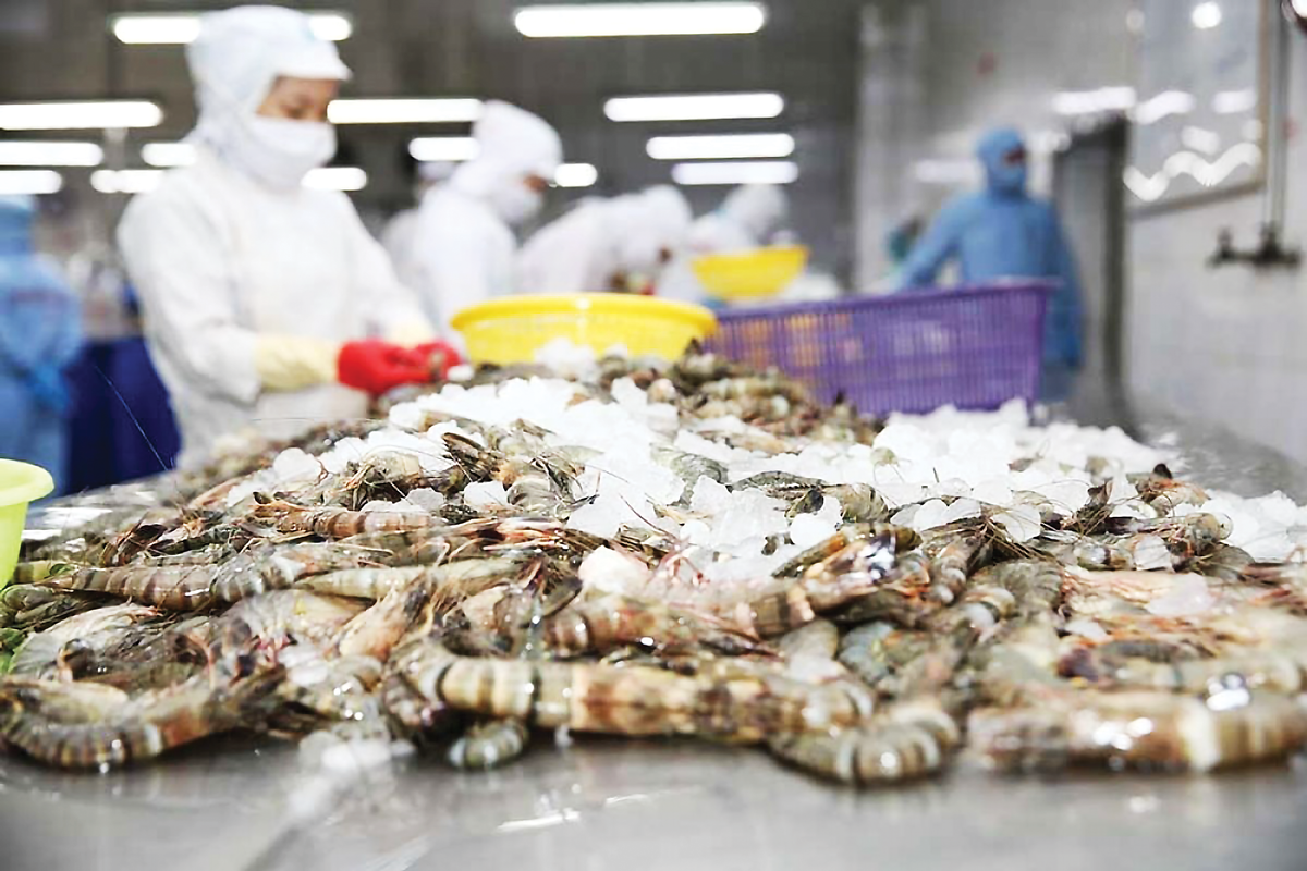 Vietnam shrimp exports gain dual boost from key markets